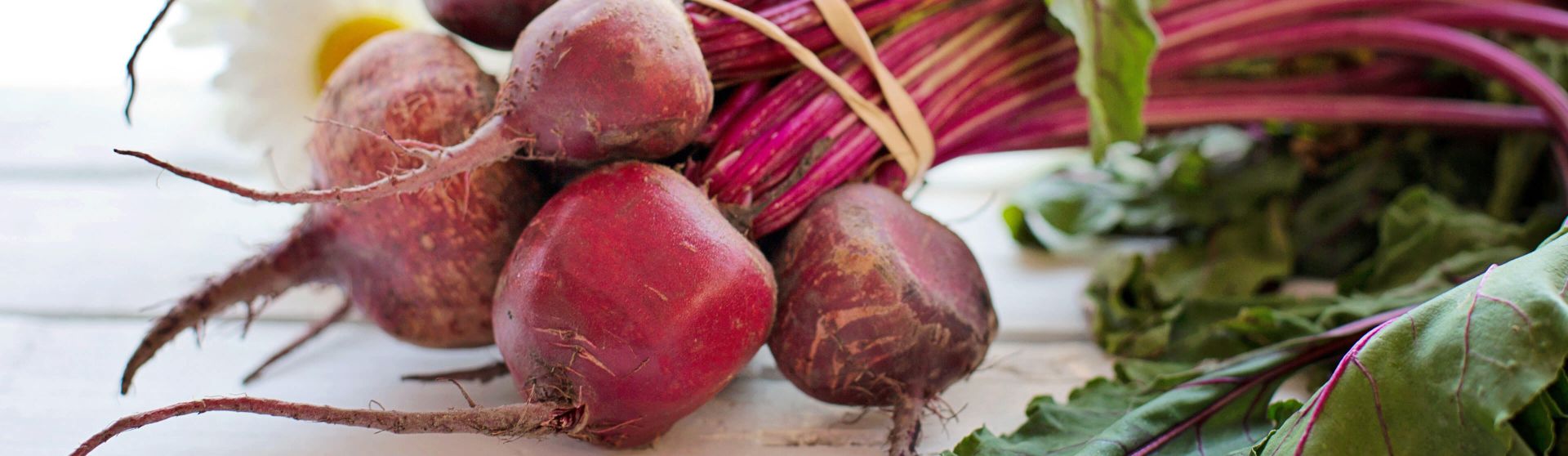 Frische, ungekochte Rote Rüben.