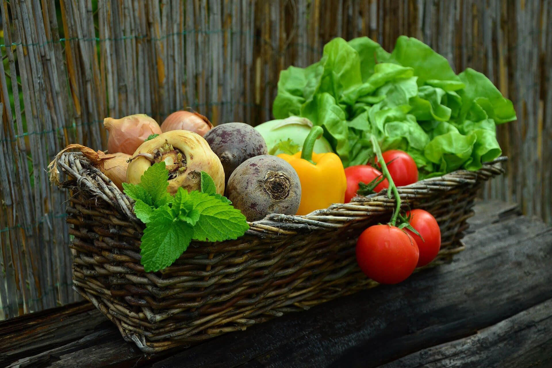 Korb mit frischen Zwiebeln, roten Rüben, Paprika, Tomaten und Salat.