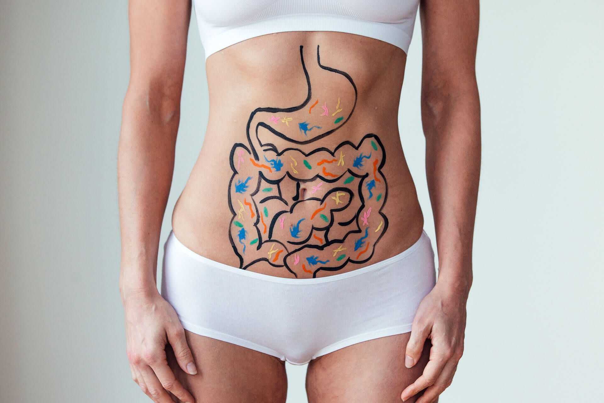 Bauch mit aufgezeichnetem Magen-Darm-Trakt.