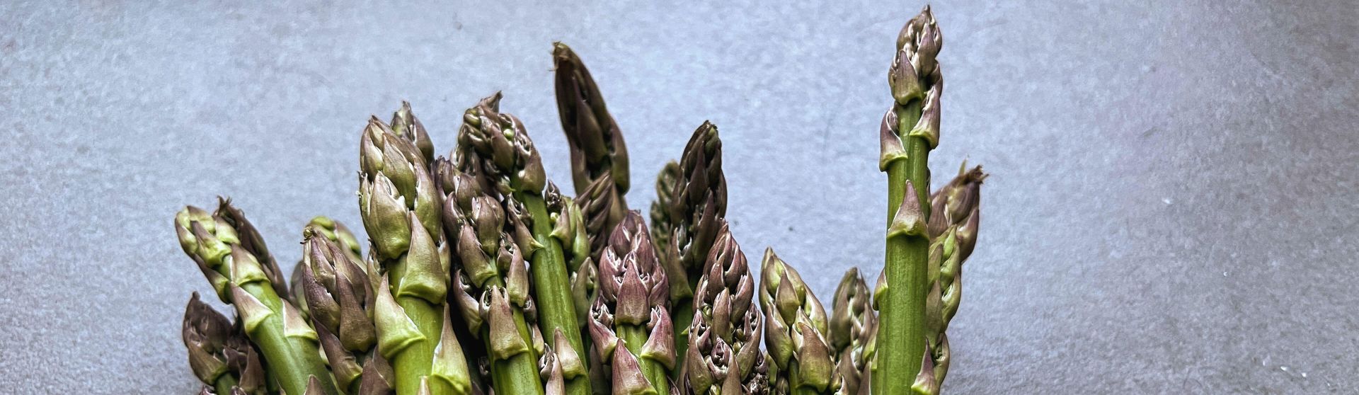 Spitzen von einem Bund grünem Spargel.