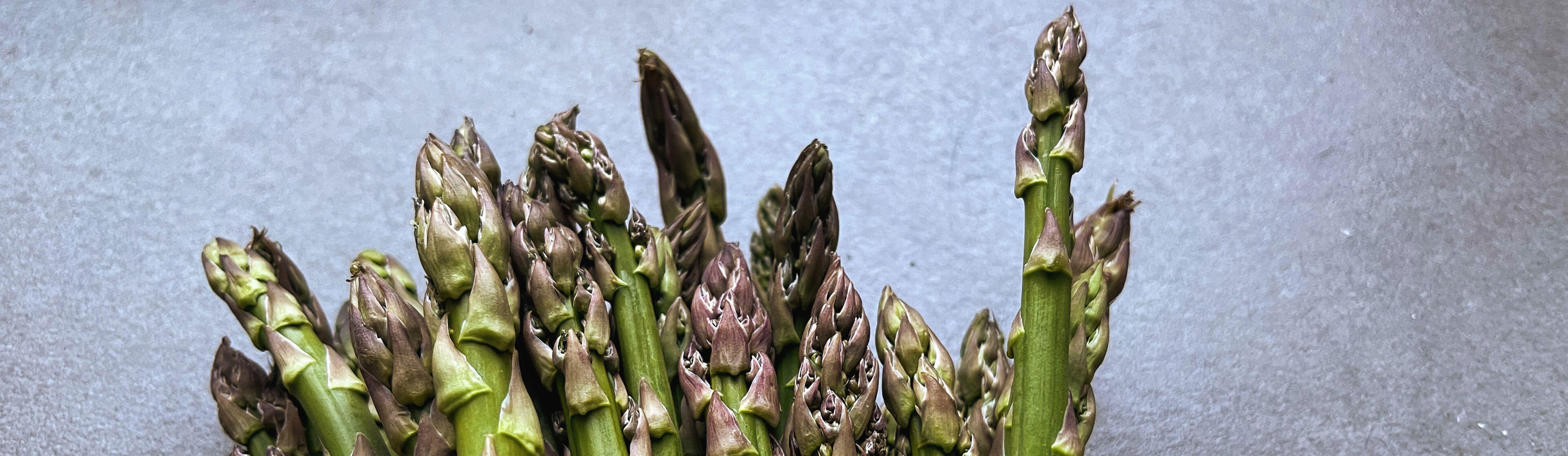 Spitzen von einem Bund grünem Spargel.